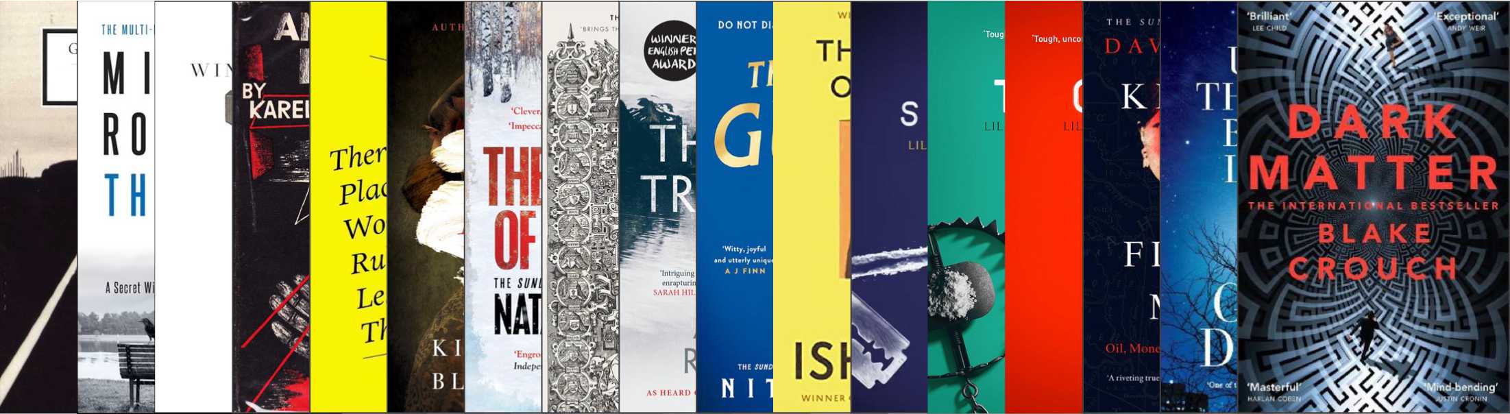 My range of reading genres for the year so far, 17 book covers overlapping.